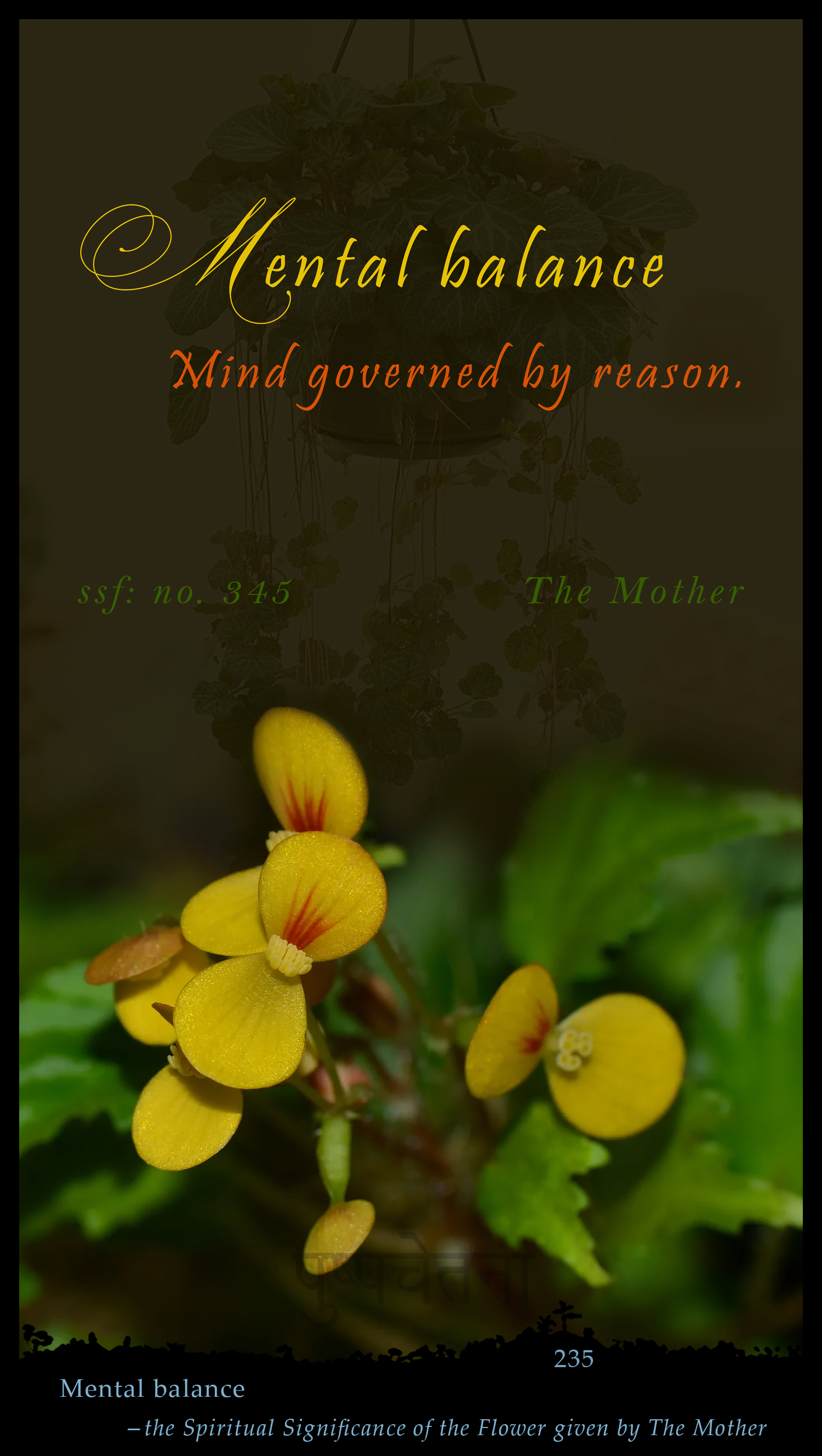 Mental Balance